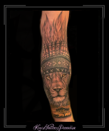 leeuwtooiverenafricaafrikajungleonderarm