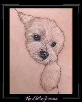 pixomatic_1750703493849