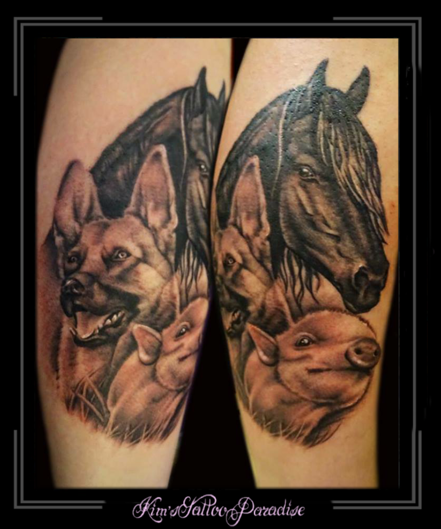 portret varkentje, paard, hond