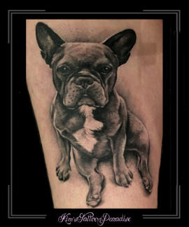 hond,franse bulldog,bovenbeen