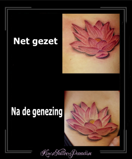 lotus, voor en na de genezing, zij, kleur