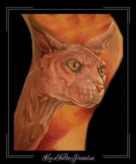 naaktkat-sfinx-onderbeen