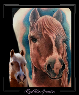 paard portret dier bovenbeen1