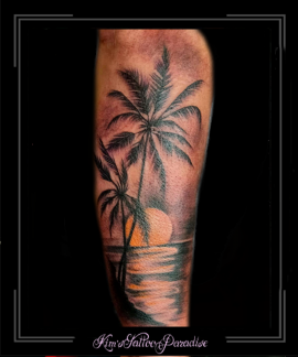 palmboom,zonsondergang,onderarm,