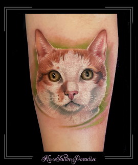 portret poes kat onderarm.1png