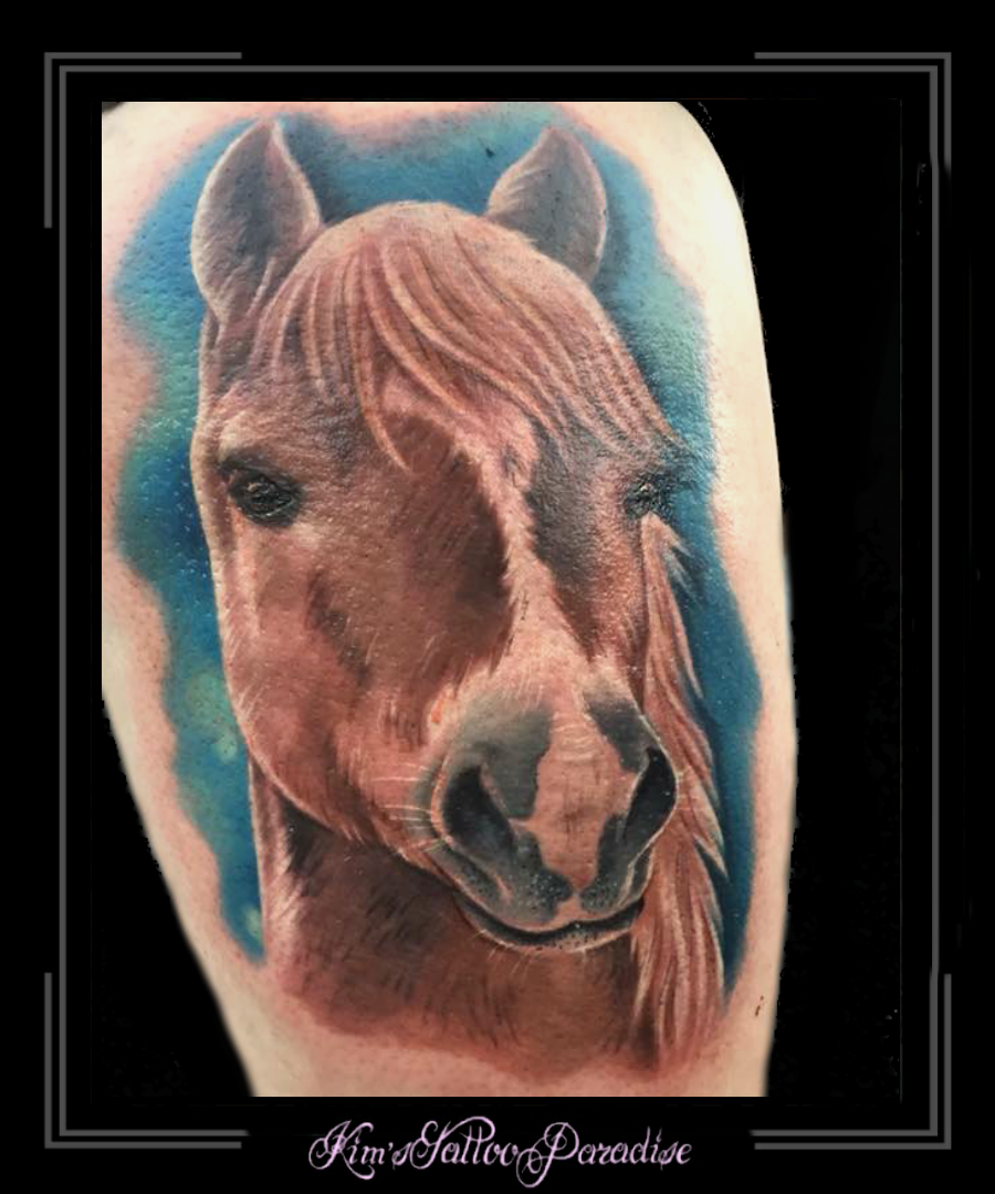 paard-portret-dier-bovenbeen