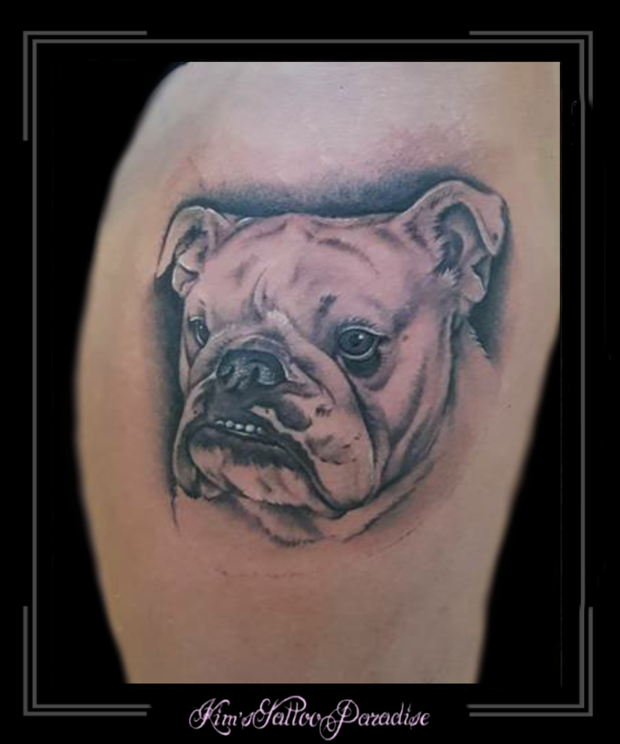 portret bulldog hond bovenbeen1
