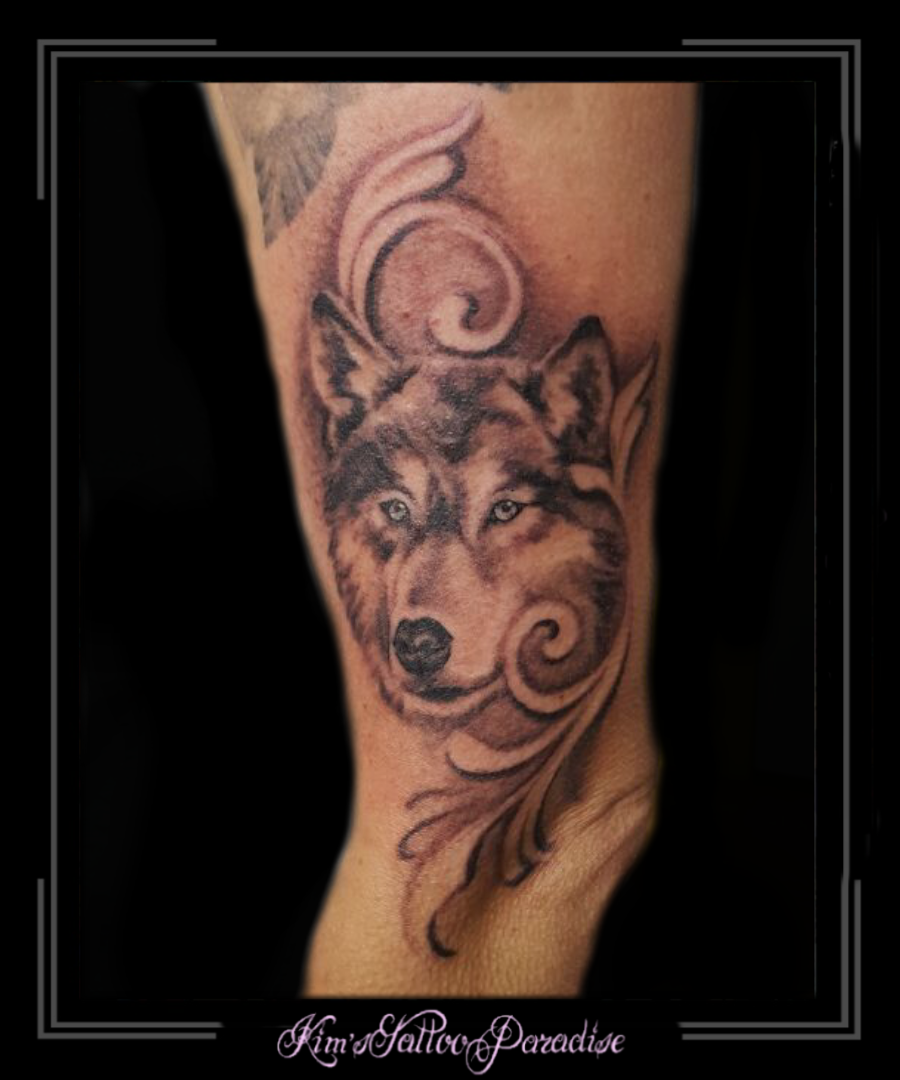 portret huskey wolf hond