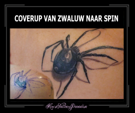 coverup spin