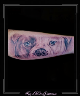 portret bulldog hond onderarm