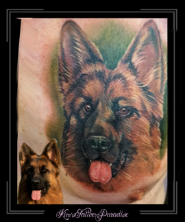 portret,herder,hond,borst,kleur1